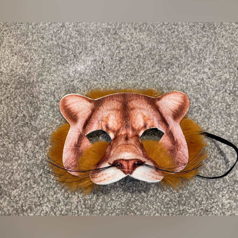 Kids Lion Mask